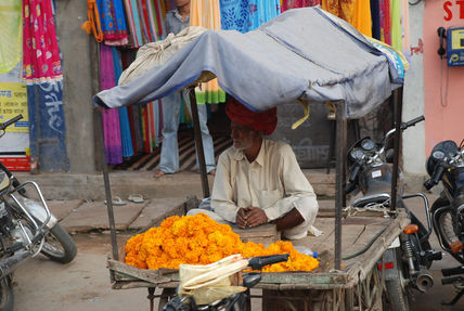 India 2008