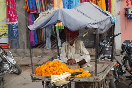 India 2008