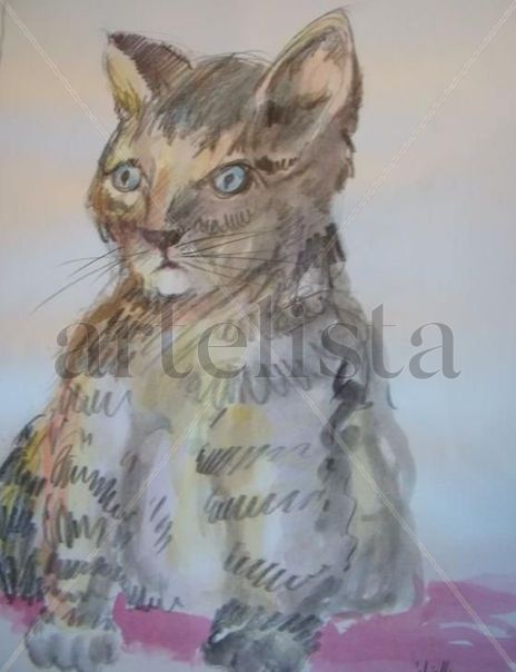 Gato de rua