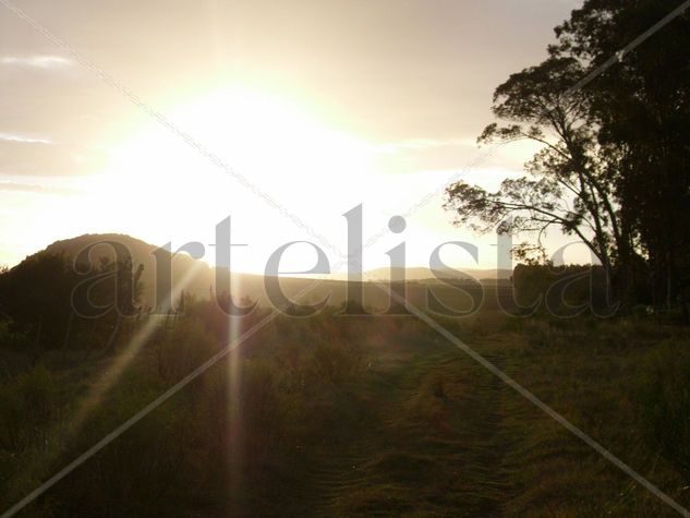 A contra luz 