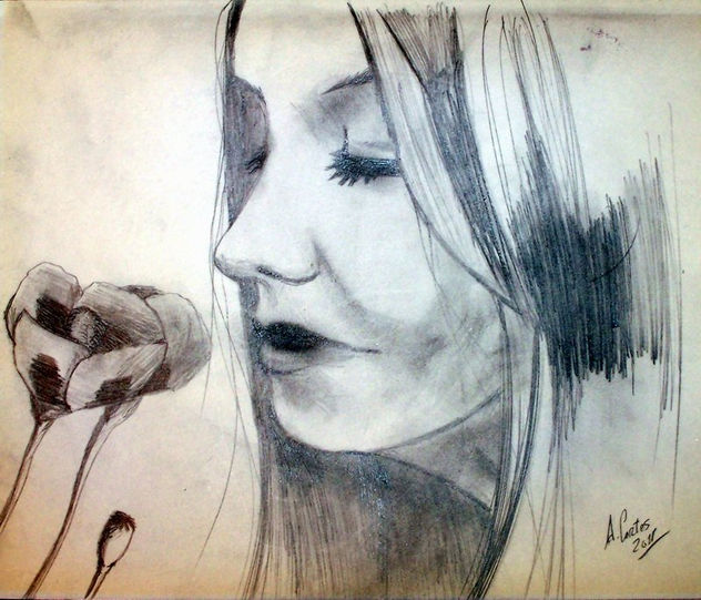 retrato numero  5