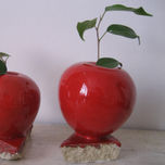fruta thumbnail 2