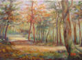PAISAJE
