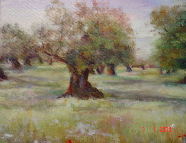 LA FORTALEZA DEL ARBOL