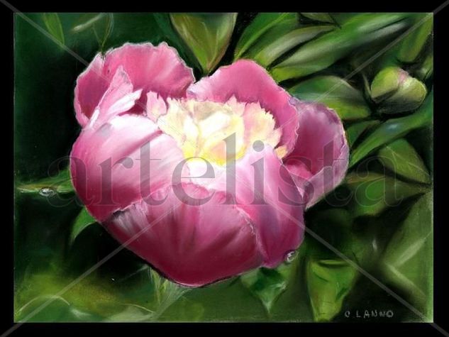 PIVOINE Pastel Paper Floral Painting