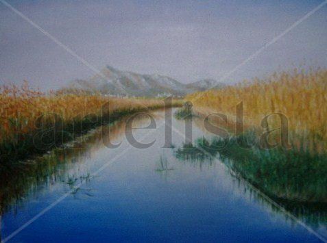 albufera Oil Canvas Landscaping