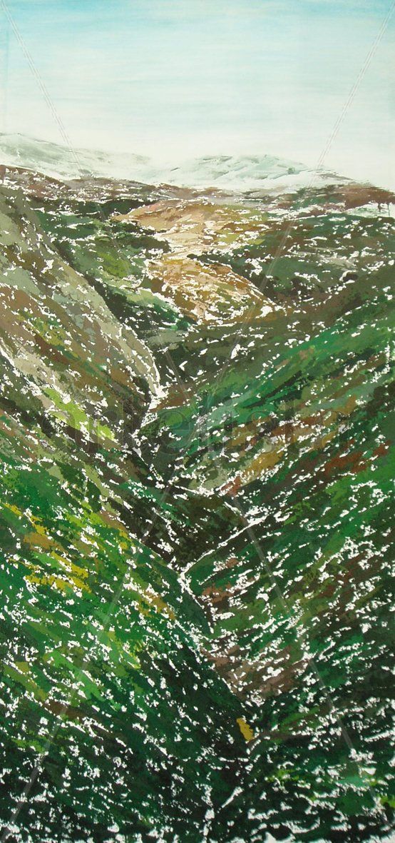 Paisaje