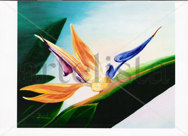 FLOR DEL AVE DEL PARAISO Oil Canvas Floral Painting