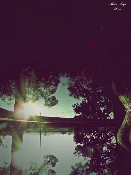 Reflejos