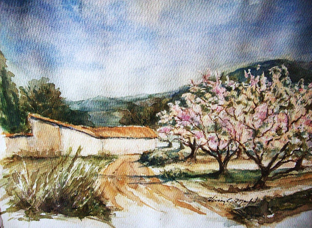 Los almendros de Belgida