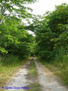 CAMINO VECINAL 2