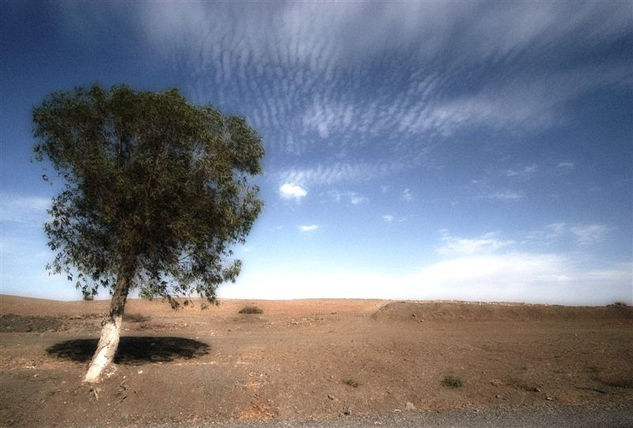 Marruecos Nature Color (Digital)