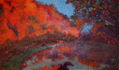 EXPLOSION DE COLOR