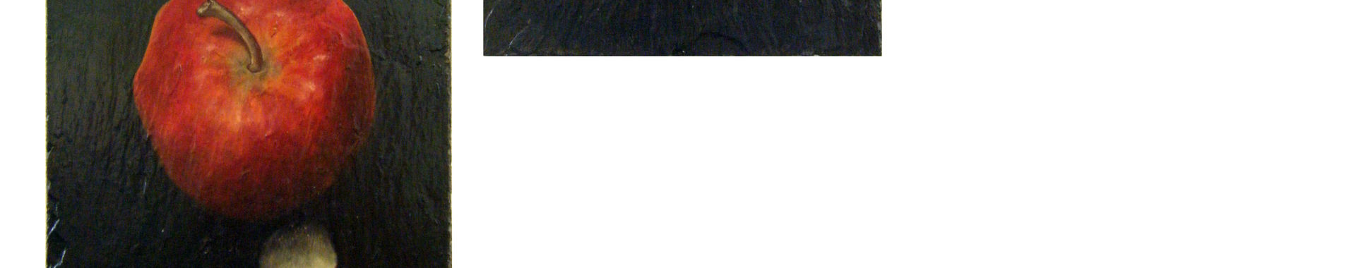 Imagen de portada