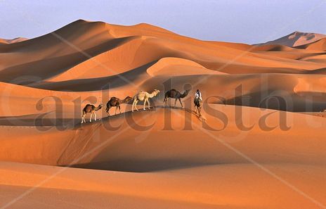 Dunas y Dromedarios