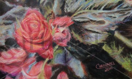 Flores