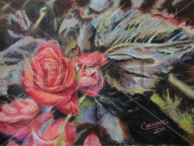 Like a rose Pastel Card Floral Painting