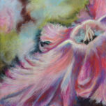Flores thumbnail 1
