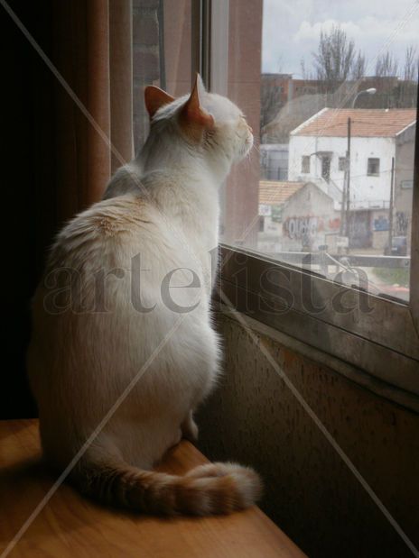 Tarde de domingo...