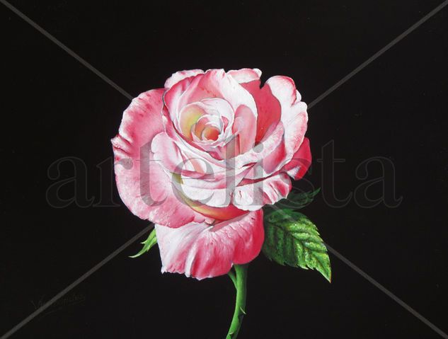 10-ROSA BLANCA Óleo Tabla Floral