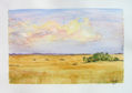 CAMPO