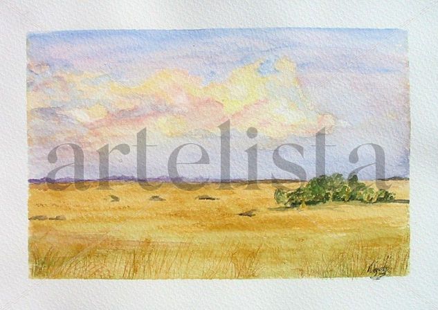 CAMPO Watercolour Card Landscaping