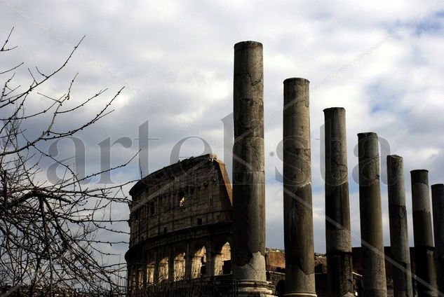 Roma Arquitectura e interiorismo Color (Digital)