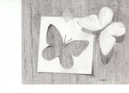 Transformacion
