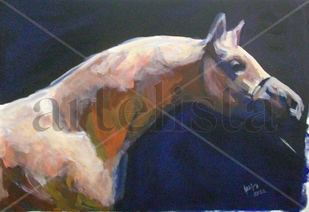 caballo1 Oil Card Animals