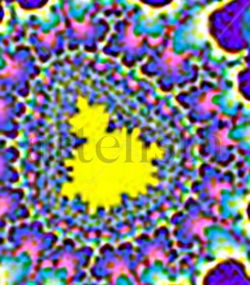 FRACTAL   .EMBRION  ESTELAR