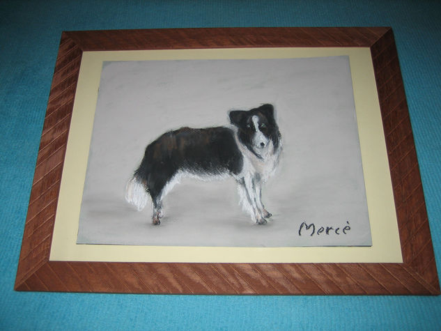 perrodos Pastel Card Animals