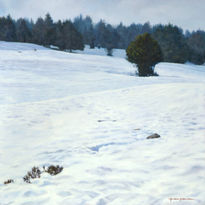 La nieve en Le Semnoz