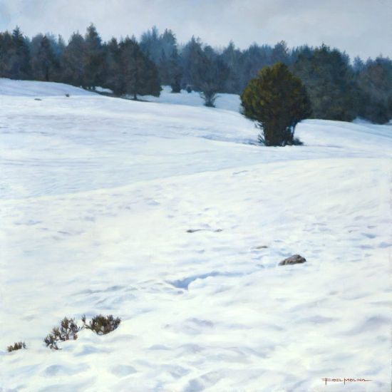 La nieve en Le Semnoz Oil Panel Landscaping