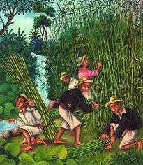 Recolectores de bambu