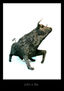 big torro