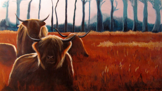 Scottish Highlanders Acrylic Canvas Animals