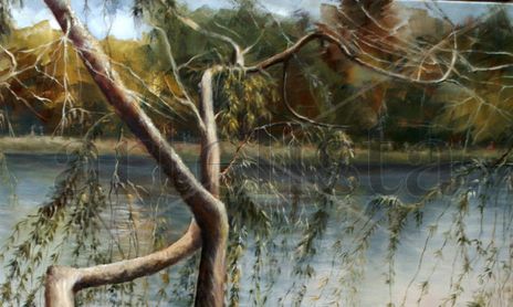 Naturaleza Vibrante