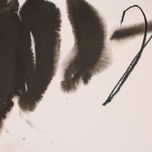 2010  ESPERIT thumbnail 2