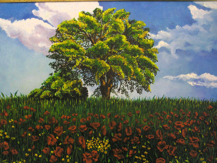 Campo de amapolas.