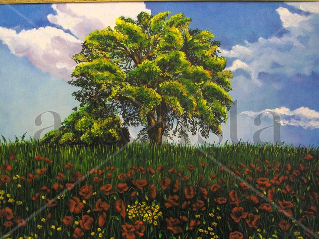 Campo de amapolas. Oil Canvas Landscaping