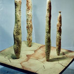 02 - Natura: Terra thumbnail 1