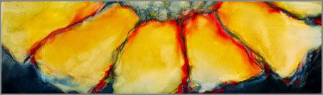 PETALOS DE LA TIERRA Amarillo I