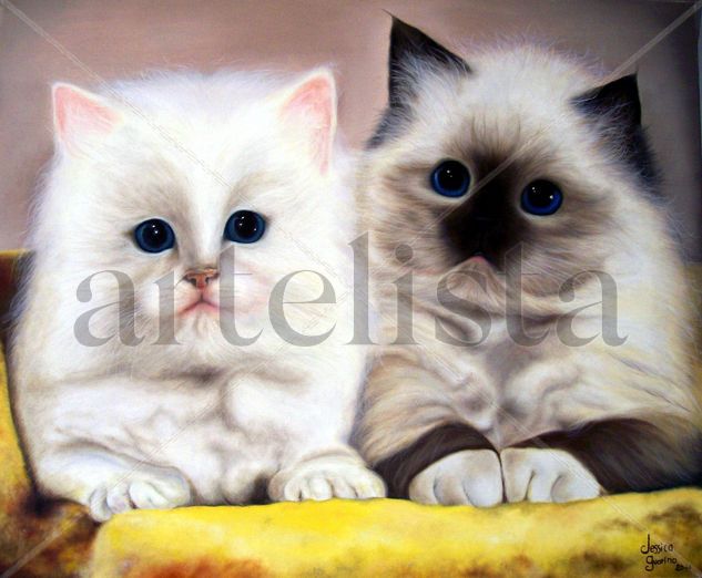 Gatitos Oil Canvas Animals