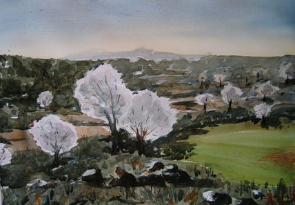 Primavera