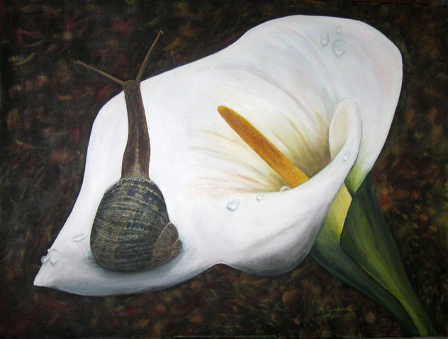 Caracol en Cala