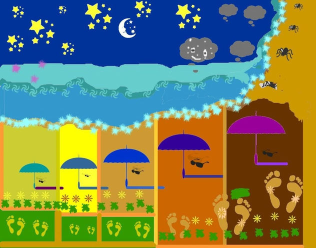 soledad playera