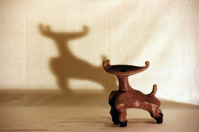 TORITO / BRAU PETIT