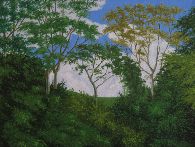 SELVA DEL PUTUMAYO, COLOMBIA Oil Canvas Landscaping