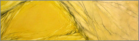 PETALOS DE LA TIERRA Amarillo III
