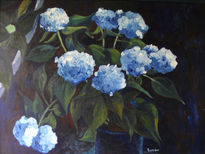 Hortensia